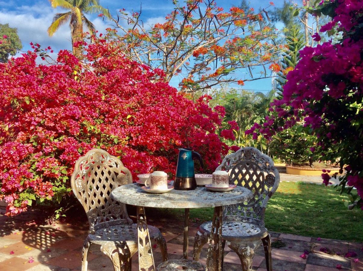 Cafegourmetptacorona San Carlos Exteriör bild
